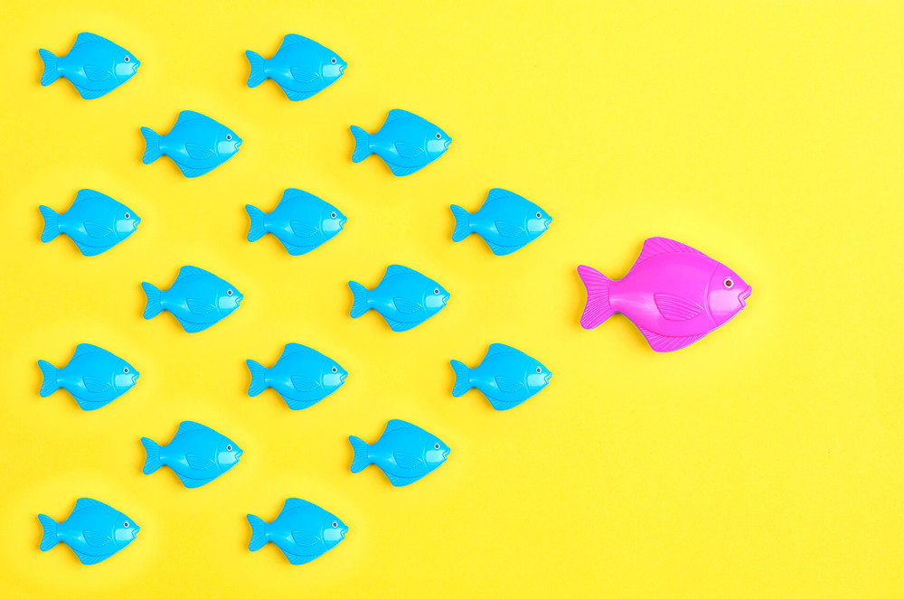 What is Followership. Leader and followers.