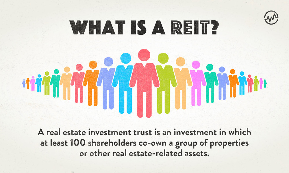 What is a REIT grahic definition with 100 shareholders standing side by side